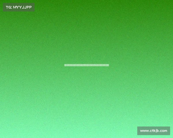 武术兵道文化的传承与发展:探索传统武术在现代社会中的实践与意义